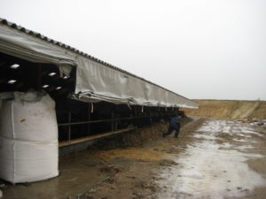 Afdækning af staldbygning