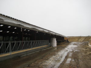 Afdækning til staldbygning