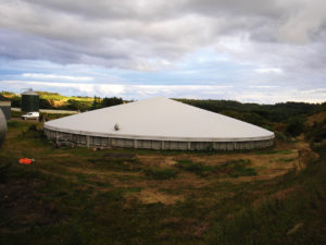 Biogasoverdækning - Frederikshavn