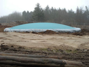 Hoppepude til Løveparken