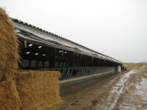 afdækning af staldbygning